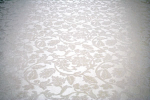 image004